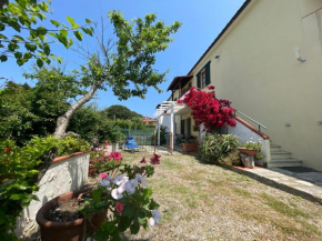 Casa Cirilla Procchio